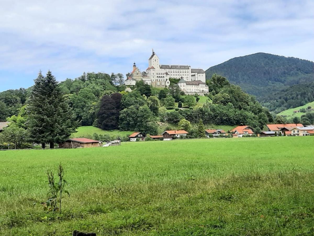 Ferienhaus Kaiserblick - Fewo2 Walchsee Exterior foto
